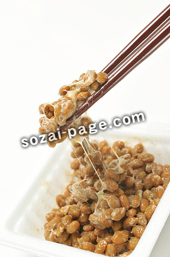 今日は茨城県民の日（茨城について語りましょう）