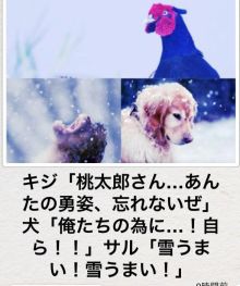 動物関連の「ボケて」貼ってください!