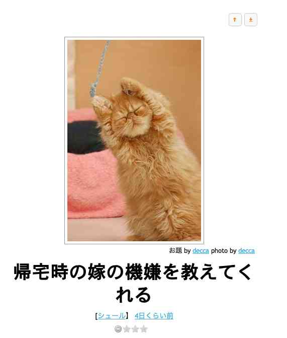 動物関連の「ボケて」貼ってください!