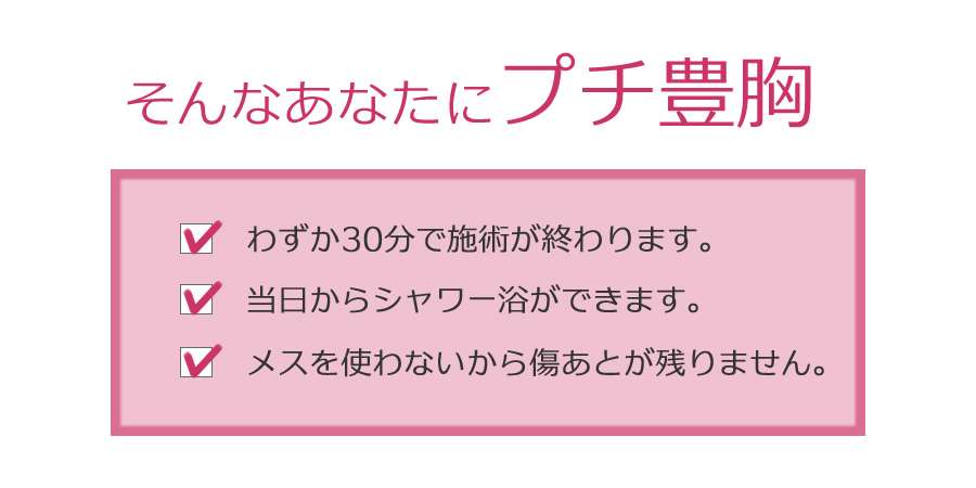 女子目線で「理想のバスト」を持つ女性芸能人トップ10