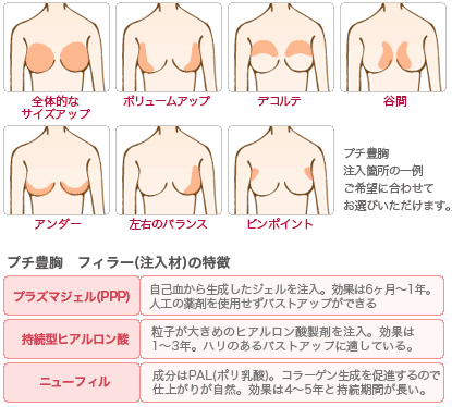 女子目線で「理想のバスト」を持つ女性芸能人トップ10