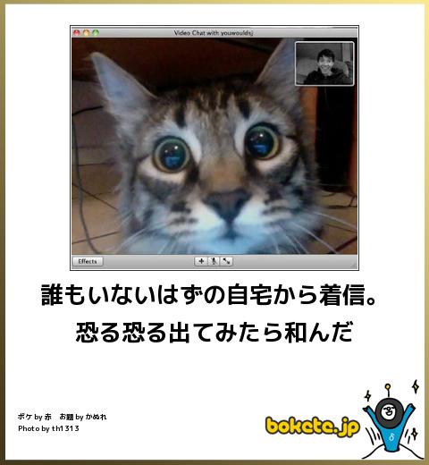 動物関連の「ボケて」貼ってください!