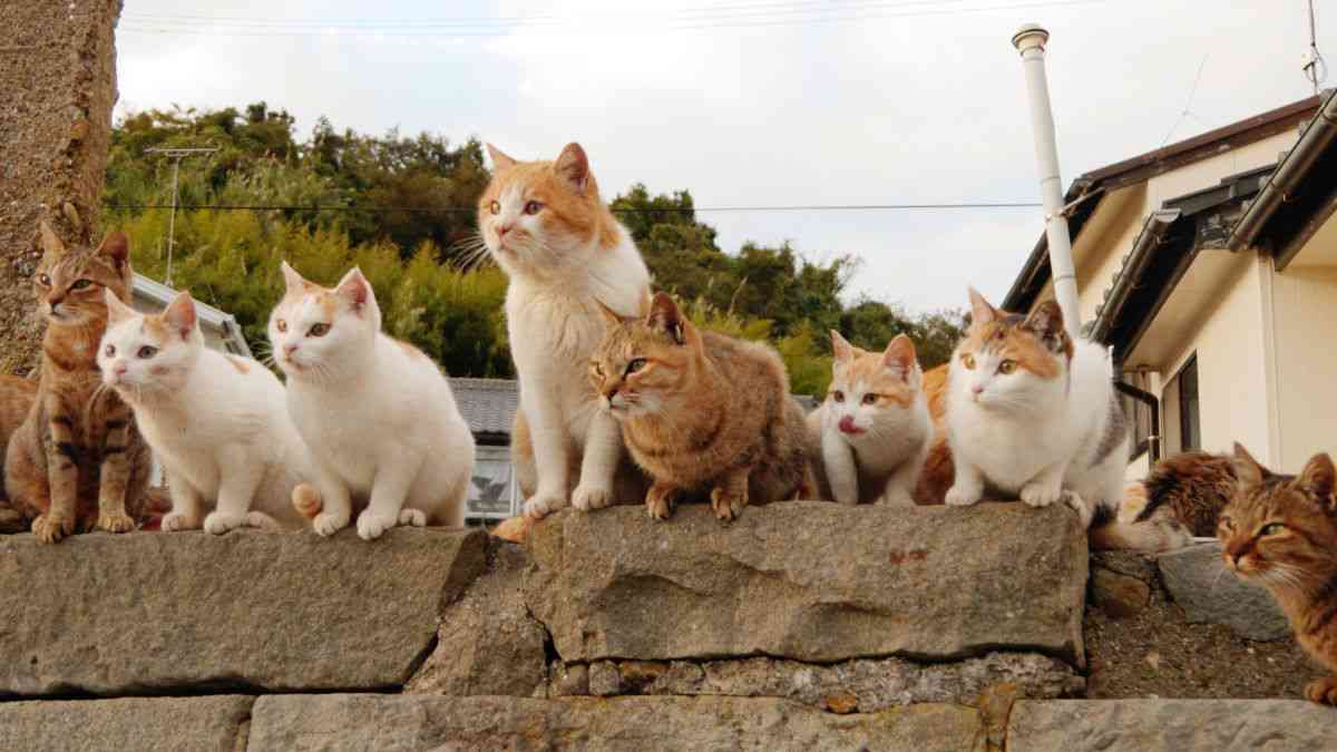 自分の近況を物語る画像を貼って、一言どうぞ。