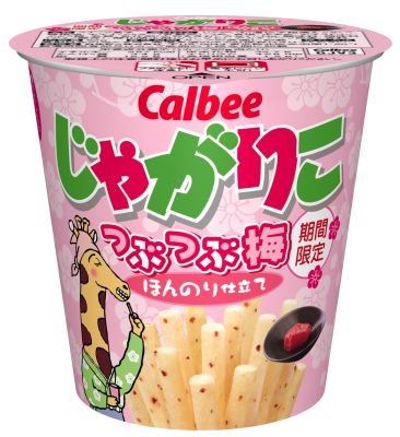 梅のお菓子が大好きな人