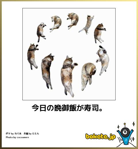 動物関連の「ボケて」貼ってください！
