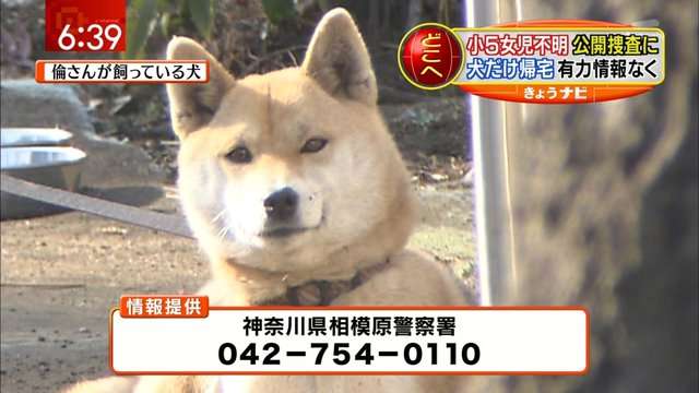 ガルちゃんで画像とサイトを張り付ける練習トピpart5