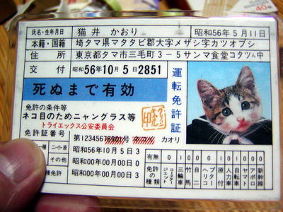 免許証の写真