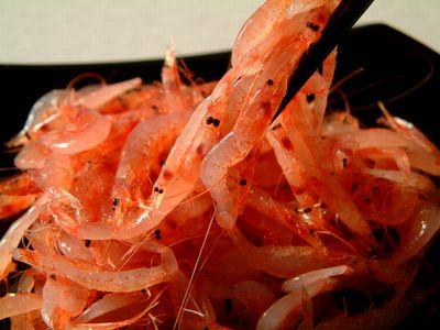 【虫注意】ピンク色のバッタが話題に
