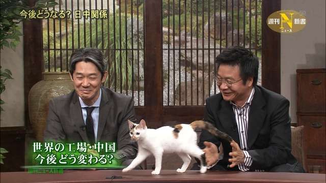 ガルちゃんで画像とサイトを張り付ける練習トピpart5