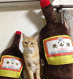 “養命酒抱き枕”さらに大きく、今年は史上最大の全長100センチに