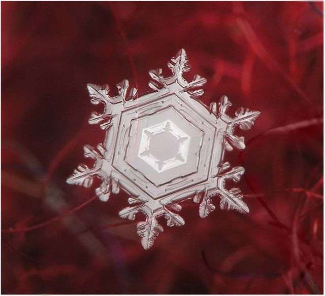 美しい雪の結晶の画像を下さい！