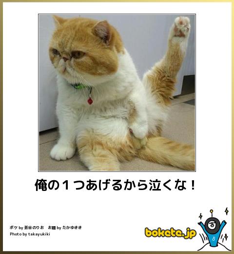 動物関連の「ボケて」貼ってください!