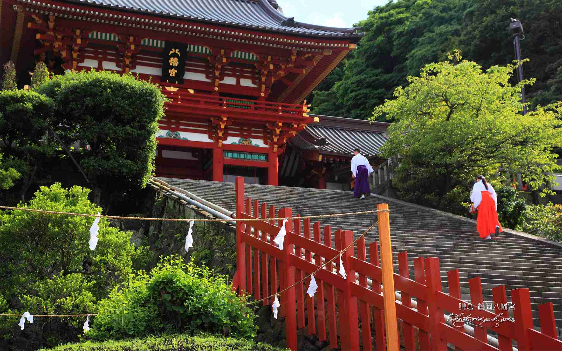 結婚式 どこで挙げましたか?
