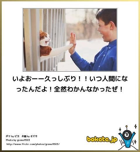 動物関連の「ボケて」貼ってください!