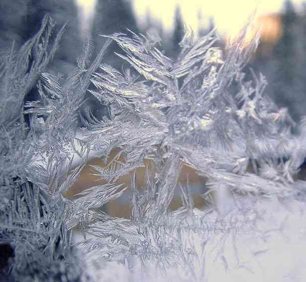 美しい雪の結晶の画像を下さい！