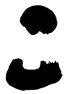 あまりにデカい！ブリトニー・スピアーズを虜にした元夫のイチモツ画像に米ネット民が騒然