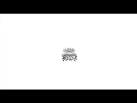 女王蜂　「鉄壁」 - YouTube