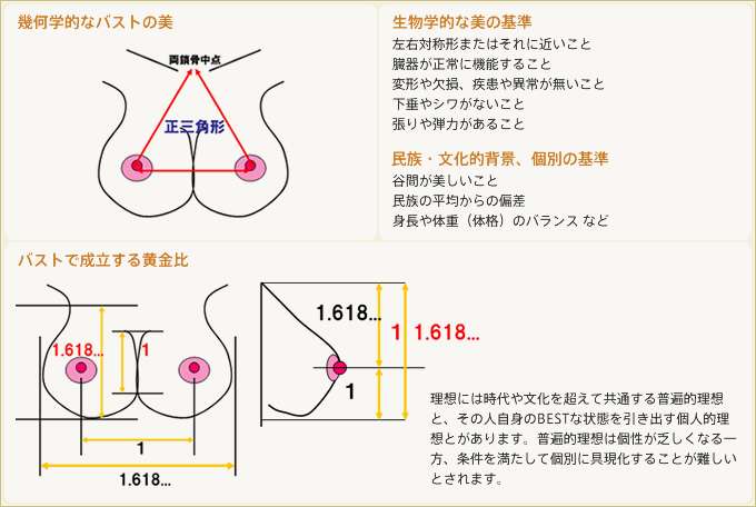女子目線で「理想のバスト」を持つ女性芸能人トップ10