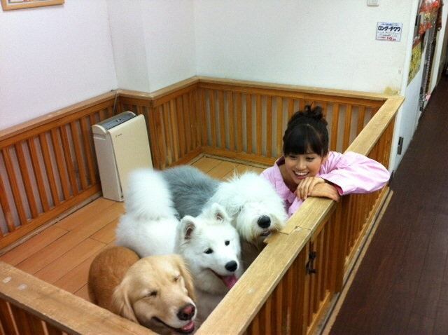 前田敦子、ペットは「猫が8匹、犬が6匹…」「知らない間にどんどん増えてる」