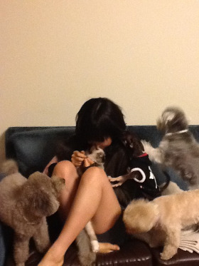 前田敦子、ペットは「猫が8匹、犬が6匹…」「知らない間にどんどん増えてる」