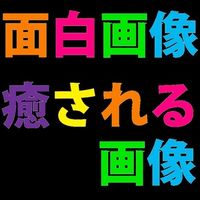 【保存したら負け！】面白画像・癒される画像【おもしろ画像まとめ】 - NAVER まとめ