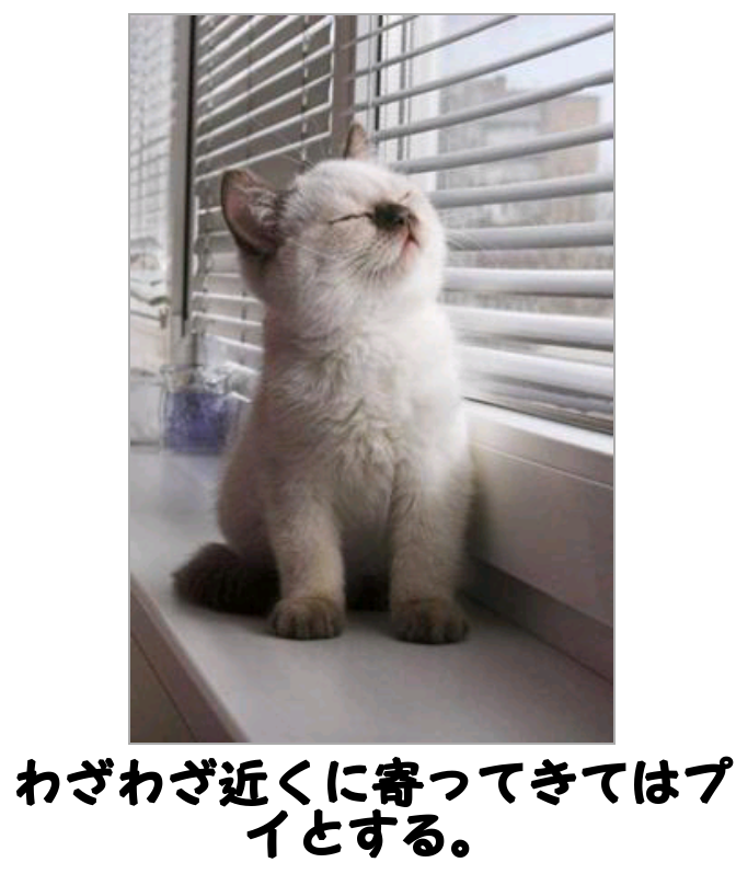 動物関連の「ボケて」貼ってください!