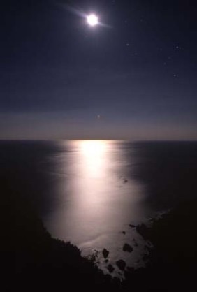 月の画像を貼るトピ