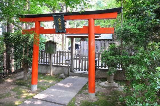 初詣はここだ！一風変わったご利益のある神社仏閣8選