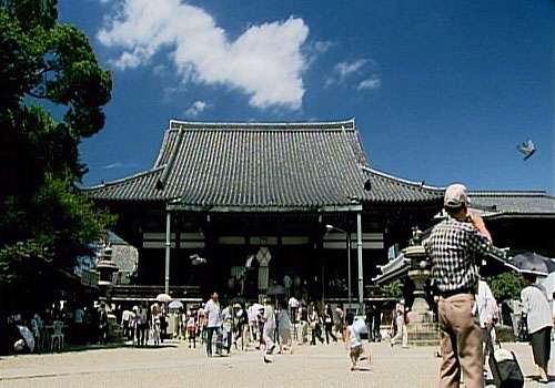 初詣はここだ！一風変わったご利益のある神社仏閣8選