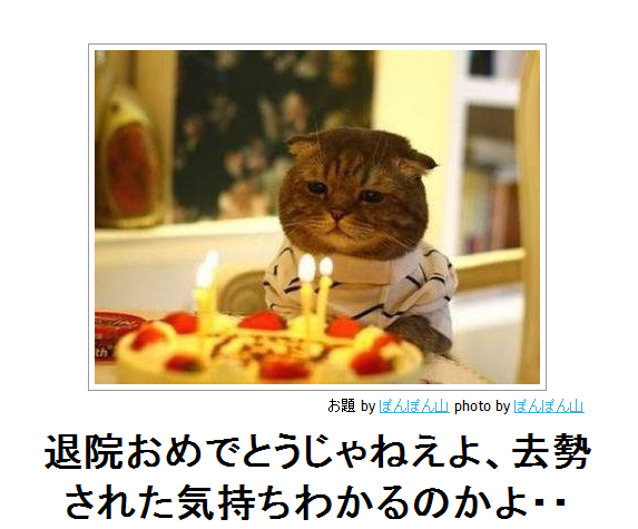 2014年の締めくくりに「ボケて」を貼っていこう