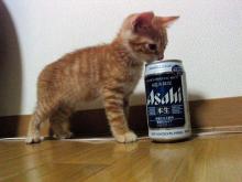 大晦日、何して過ごしますか?