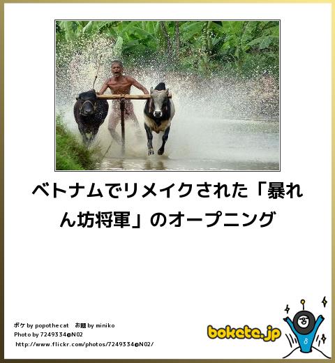 2014年の締めくくりに「ボケて」を貼っていこう
