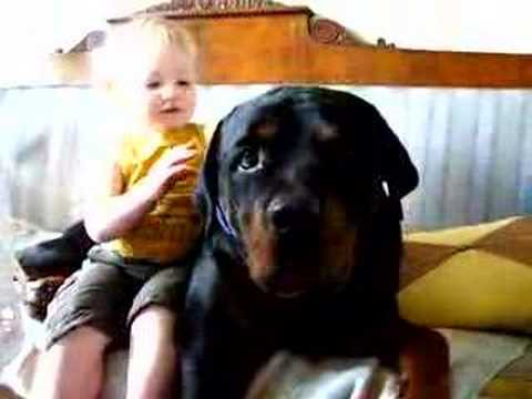 My Rottweiler and my son Edvin attacked...!!.........With kisses :-) - YouTube