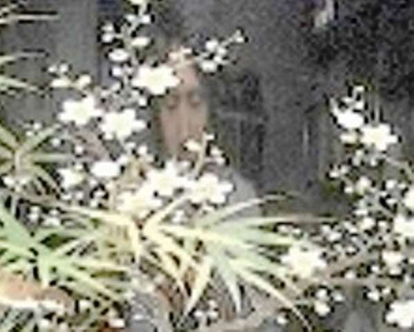 皇太子妃雅子さま病状の東宮職医師団発表がほぼ「コピペ」で波紋