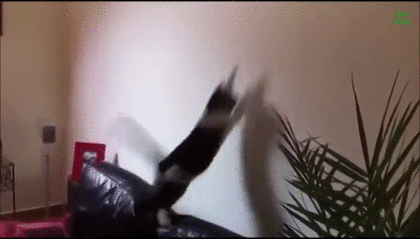 物に当たる人