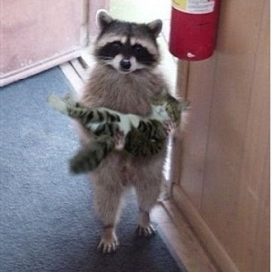 動物同士の感動シーン