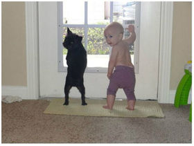 【年またぎ】見ると幸せな気分になれる画像を下さい！