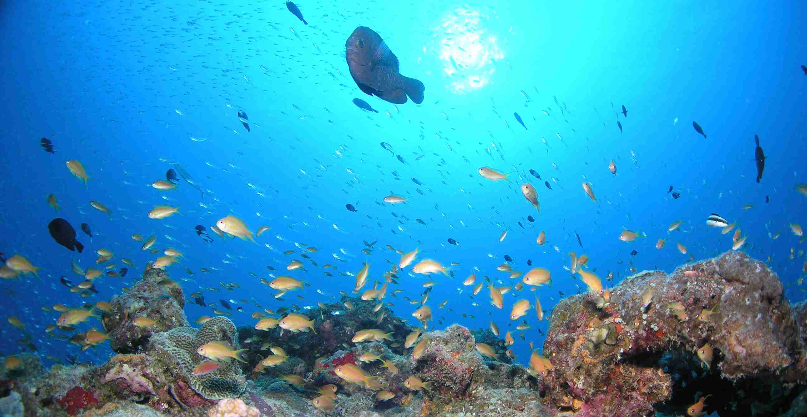 沖縄のオススメスポット！