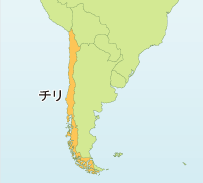 あまりにデカい!ブリトニー・スピアーズを虜にした元夫のイチモツ画像に米ネット民が騒然