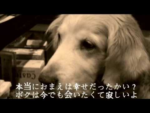 犬のうた 〜ありがとう〜 フォトトレイラー 歌詞有り - YouTube