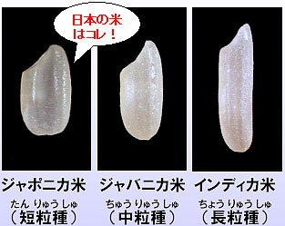役立つ画像を貼っていきましょう！