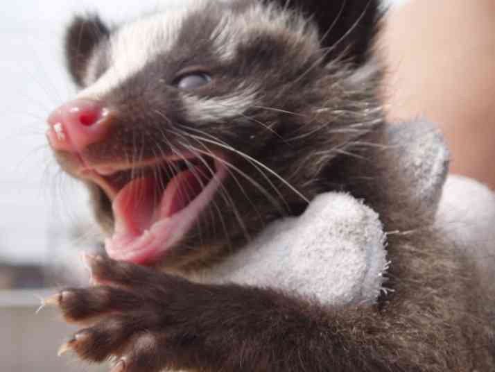 やしきたかじんさんの携帯にあった前妻の連絡先がなぜか変更されていた