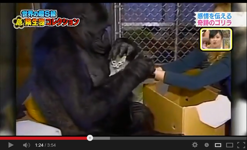 動物同士の感動シーン