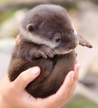ガルちゃん水族館♪