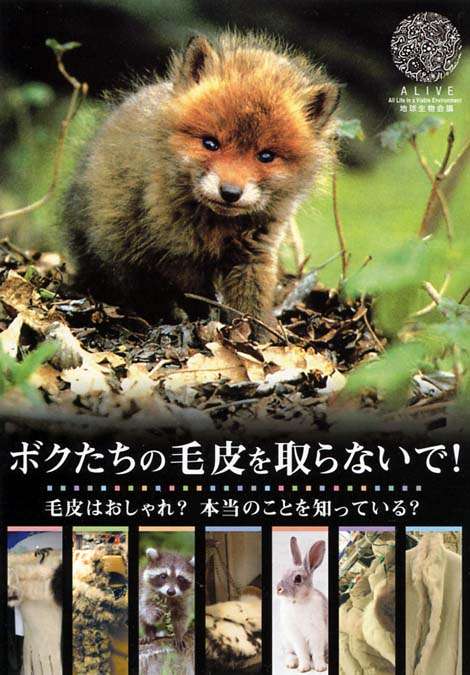 納得できる画像を貼っていくトピ。