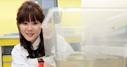 小保方さんの『STAP細胞』に関して新説『利権団体に潰された説』が話題に | BUZZmag