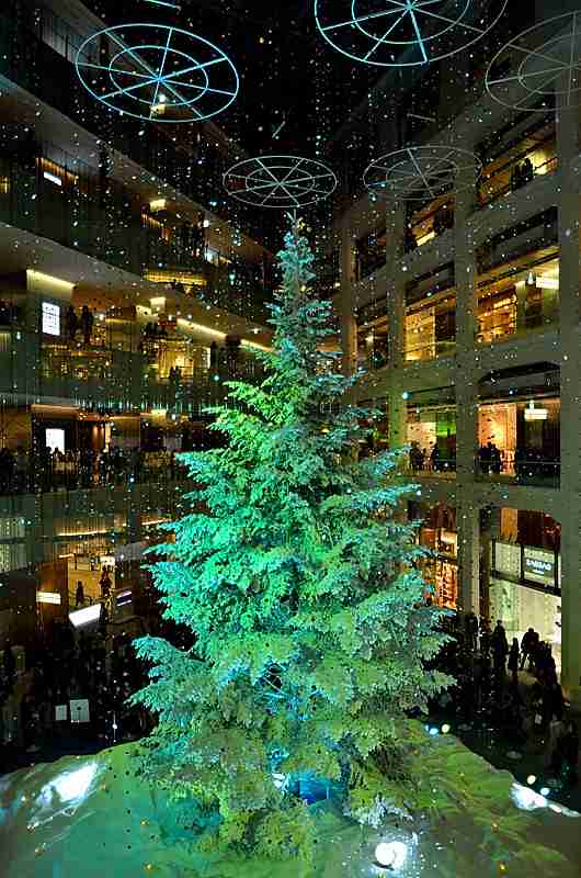 近場でおすすめのクリスマスツリー