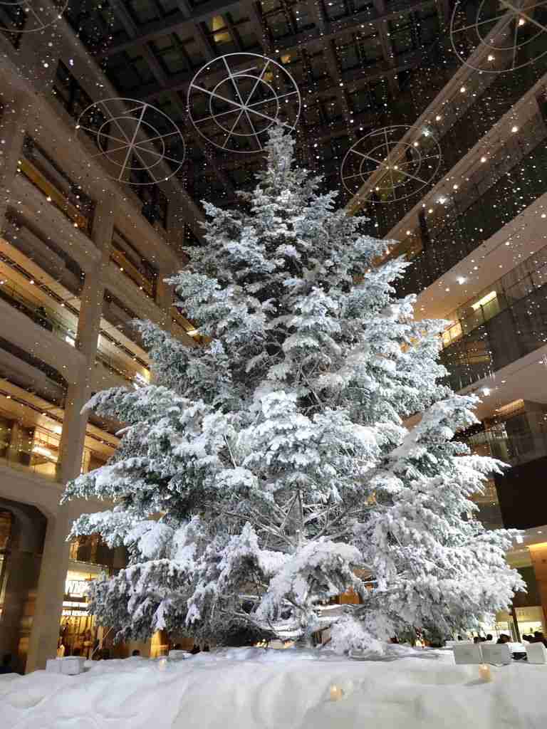 近場でおすすめのクリスマスツリー