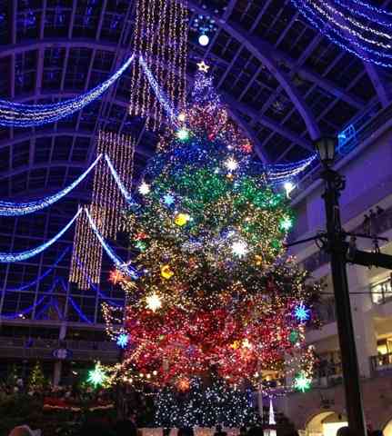近場でおすすめのクリスマスツリー