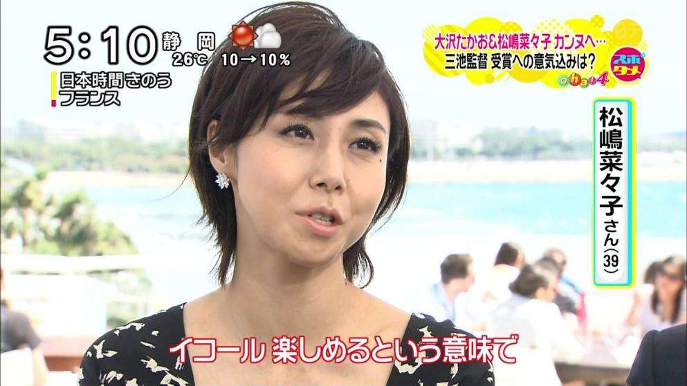 松嶋菜々子が激老け?干され、糾弾、ドーベルマン事件を経て